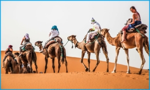 15 days from Tangier 15 days from Tangier