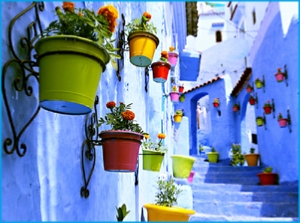 Experience the Best of Morocco on a 15-Day Private Tour from Casablanca Experience the Best of Morocco on a 15-Day Private Tour from Casablanca